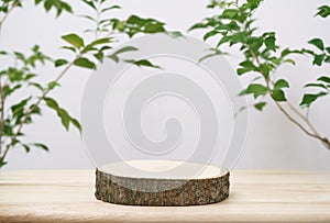 Wood podium table top blurred green leaf plant on white space nature background.Beauty cosmetic natural product display