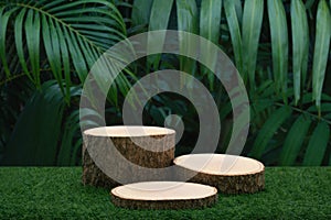 Wood podium table top floor in outdoors tropical garden forest blurred green leaf plant nature background.Natural product