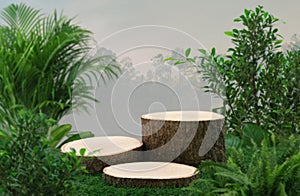 Wood podium table top floor in outdoors tropical garden forest blurred green leaf plant nature background.Natural product