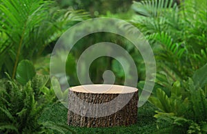 Wood podium table top floor in outdoors tropical garden forest blurred green leaf plant nature background.Natural product