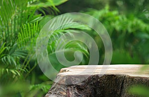 Wood podium table top floor in outdoors tropical garden forest blurred green leaf plant nature background.Natural product