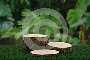 Wood podium table top outdoors blur green monstera tropical forest plant nature background.Beauty cosmetic healthy natural product