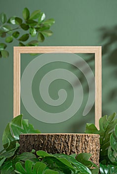 Wood podium table top with wooden frame blurred monstera green leaf plant nature background.Beauty cosmetic natural eco product