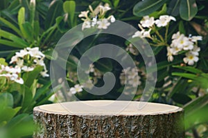 Wood podium tabletop floor outdoor blurred white frangipani flowers background.Natural beauty cosmetic or spa aromatherapy product