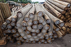 Wood Poles Treated