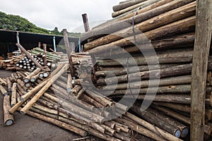 Wood Poles Yard