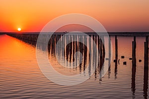 Wood posts for salt extraction in the water of extremely salty lake, amazing nature landscape in sunset light with colored sky