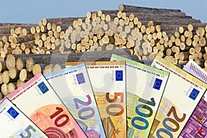 Wood price - Euro bills with a pile of wood in the background