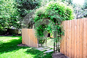 Wood Privacy Fence dog ear style