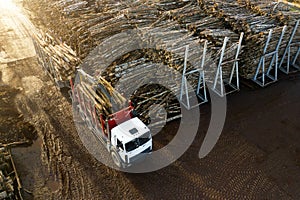 Wood processing factory, aerial view