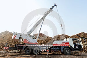 Wood processing plants in the crane photo