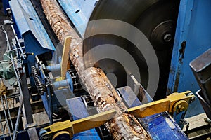 Wood processing at a sawmill. Preparation of a log for the production of plywood and veneer, sawing and cleaning of blanks in a