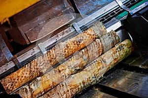 Wood processing at a sawmill. Preparation of a log for the production of plywood and veneer, sawing and cleaning of blanks in a