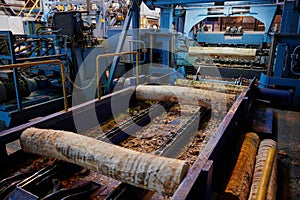 Wood processing at a sawmill. Preparation of a log for the production of plywood and veneer, sawing and cleaning of blanks in a