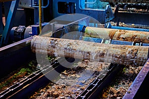 Wood processing at a sawmill. Preparation of a log for the production of plywood and veneer, sawing and cleaning of blanks in a