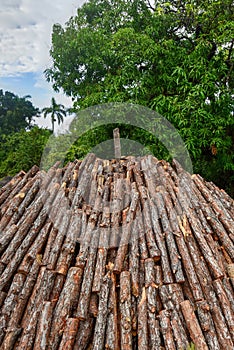 Wood pyre of pine logs