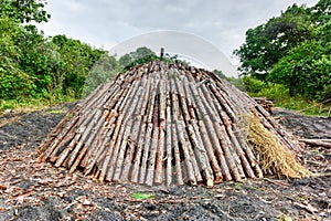 Wood pyre of pine logs