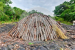 Wood pyre of pine logs