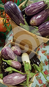 Quart Baskets of eggplant photo