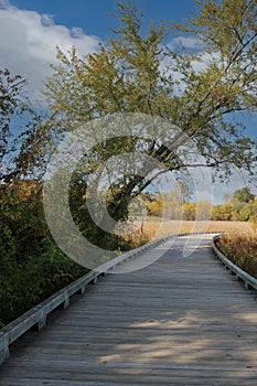 A wood, raised walking trail leading through wetlands on an autumn day at Hastings Lake Forest Preserve in Illinois