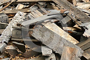 Wood remains and burned wood