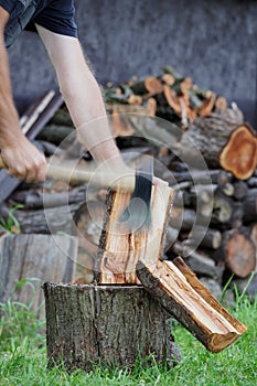 wood repentance photo