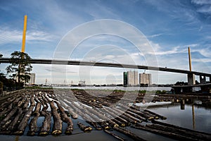 Wood in river Bangkok