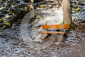Wood and rock bench in pine forest on Dolomites mountains