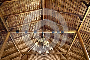 Wood roof ceiling