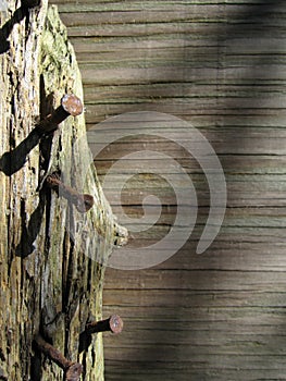 Wood and Rusty Nails