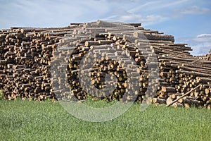 Wood for sale