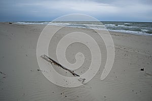 Wood at the sand beach