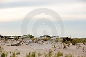 Wood sand dune fence Delaware