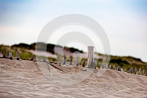Wood sand dune fence Delaware