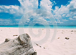 Wood in sand with sea and aky