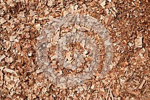 Wood sawdust texture