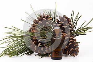 Wood scents for winter time aromatherapy. Pine cones and fresh green fir tree boughs, essential oil bottles, top view
