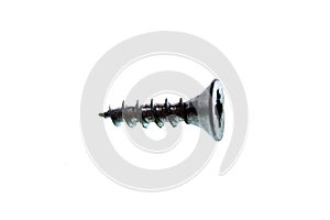 Wood screw isolated on white background