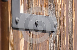 Wood screws in metal hinged iron. selective focus