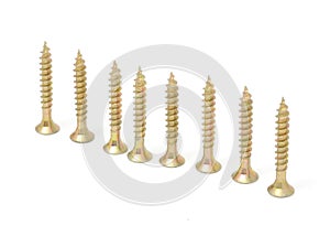Wood Screws in Row