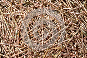 Wood screws. Texture. Background for wallpaper. A lot of long screws. View from above