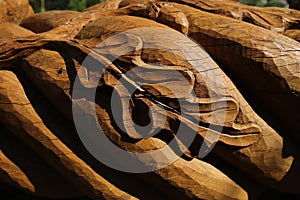 Wood sculpture