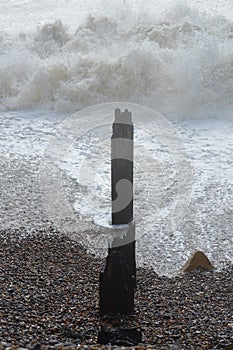 Wood sea defence structure.