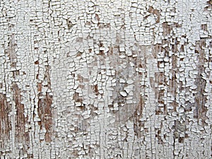 Wood with shabby paint