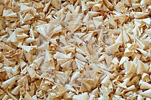 Wood Shavings