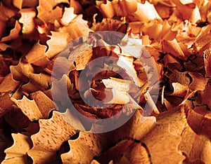 Wood shavings