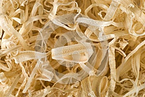 Wood Shavings