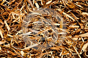 Wood shavings background