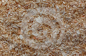 WOOD SHAVINGS BIOMASS