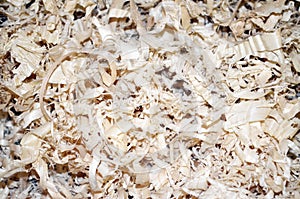 Wood shavings biomass. Pine wood chippings.